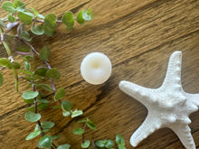 Load image into Gallery viewer, Seashore After Bath Bar + Lip Balm