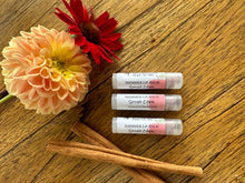 Load image into Gallery viewer, Spiced Cider Shimmer Lip Balm