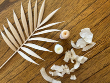 Load image into Gallery viewer, Toasted Coconut & Pina Colada Lip Balms