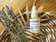 Load image into Gallery viewer, Hair & Body Oils - new Winter Scents!