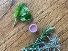 Load image into Gallery viewer, Lavender Rosemary Mint Shimmer Lip Balm