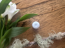 Load image into Gallery viewer, New! Winter Woods Lip Balm Duo
