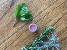 Load image into Gallery viewer, Lavender Rosemary Mint Shimmer Lip Balm
